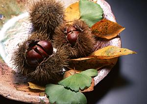 地域に愛される老舗弁当店「つるや」:美味しさと Convenienceを追求した仕出し弁当と惣菜の魅力