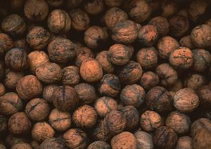 お椀を初め食に関する製品のOEMなら