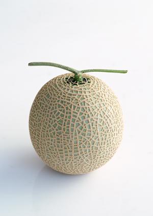 2025年最新版:スイーツの魅力を引き立てる最適な容器選びと活用法